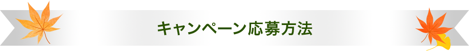 キャンペーン応募方法